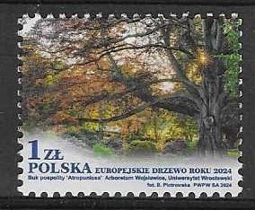 Znaczek Polska 2024 Mi 5536 Fi 5386 Czyste **