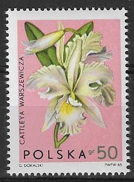 Znaczek Polska 1965 Mi 1615 Fi 1466 Czyste **