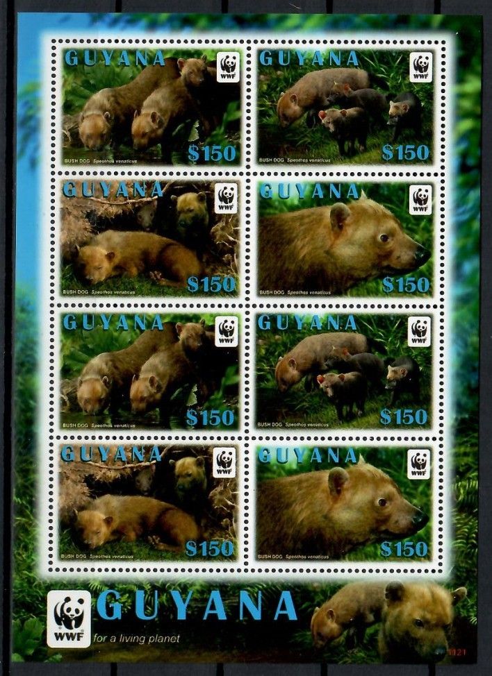 Znaczek Gujana 2011 Mi ark 8194-8197 Czyste **