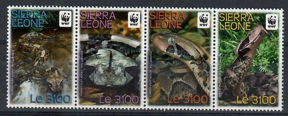 Znaczek Sierra Leone 2011 Mi 5498-5501 Czyste **