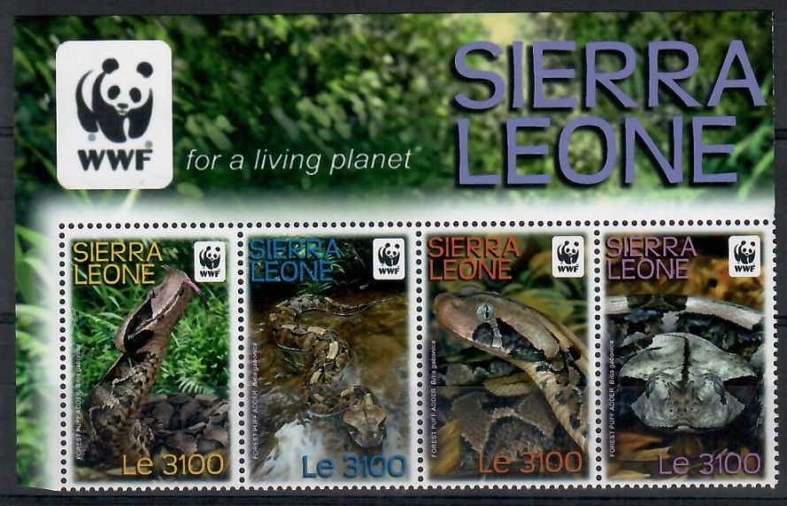 Znaczek Sierra Leone 2011 Mi 5498-5501 Czyste **
