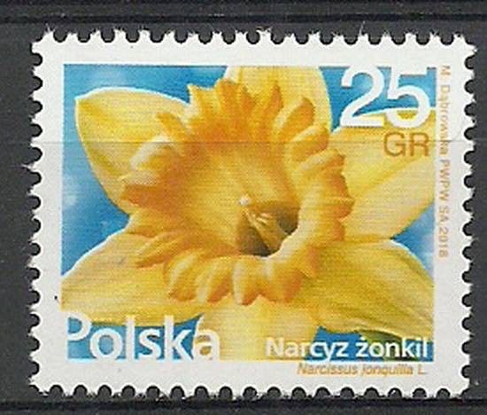 Znaczek Polska 2018 Mi 4979 Fi 4829 Czyste **