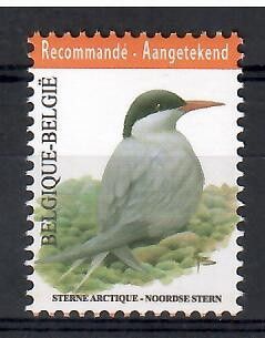 Znaczek Belgia 2013 Mi 4352 Czyste **