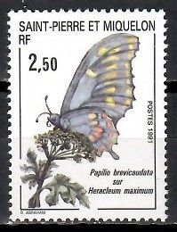 Znaczek Saint Pierre i Miquelon 1991 Mi 608 Czyste **