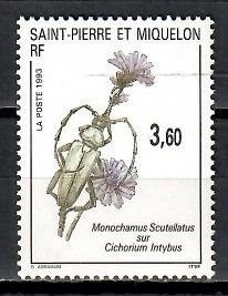 Znaczek Saint Pierre i Miquelon 1993 Mi 651 Czyste **