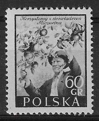 Znaczek Polska 1954 Mi 871 Fi 731 Z podlepką *