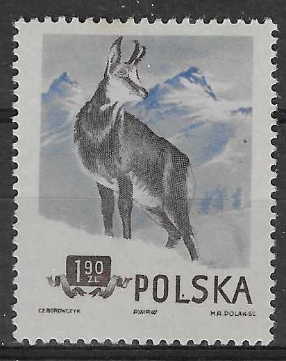 Znaczek Polska 1954 Mi 887 Fi 745B Z podlepką *