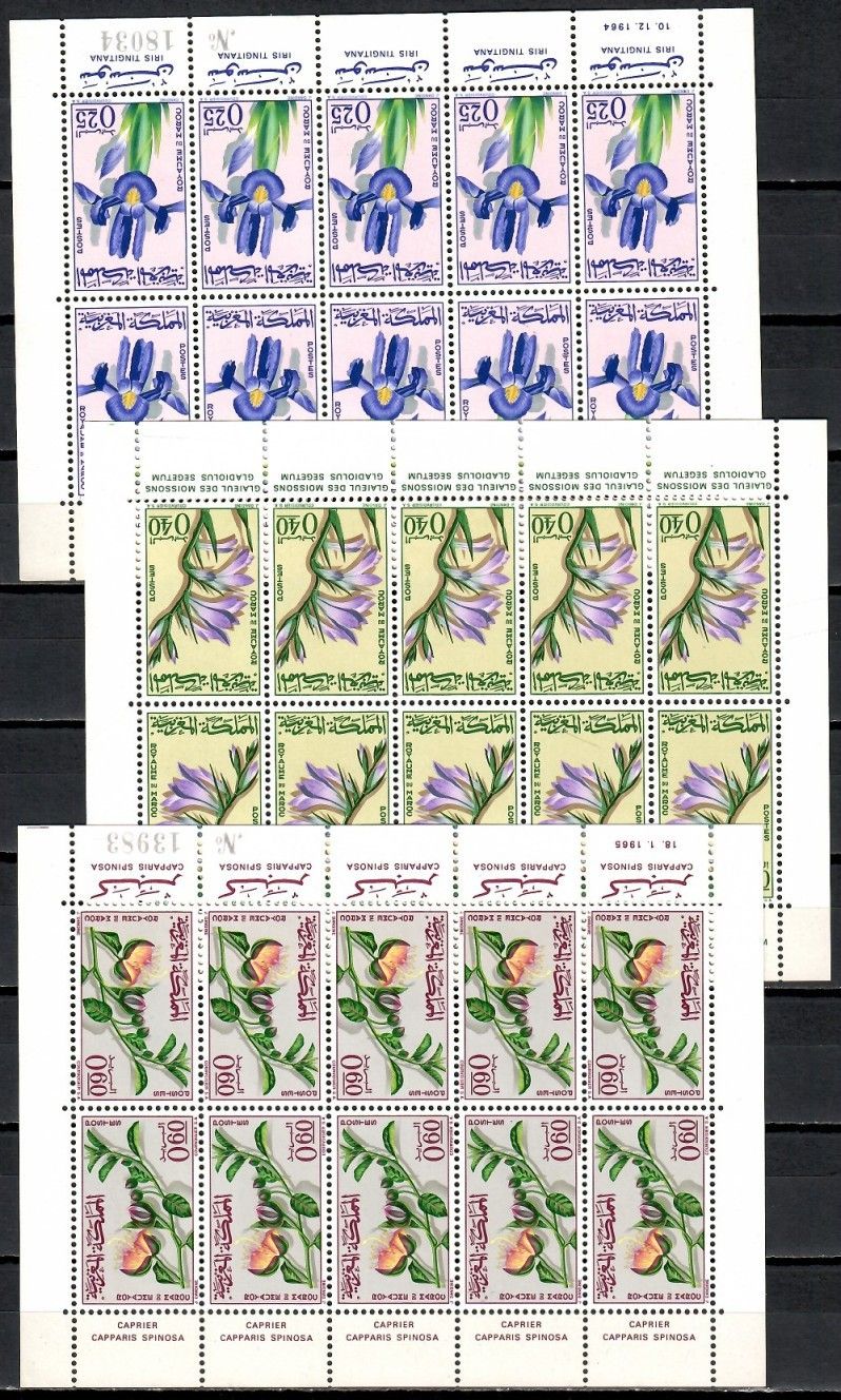 Znaczek Maroko 1965 Mi ark 542-544 Czyste **
