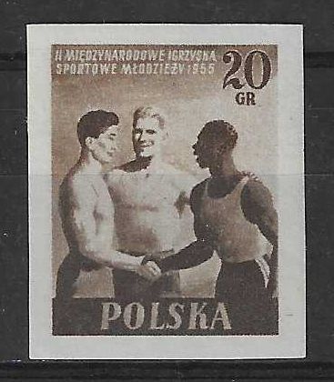 Znaczek Polska 1955 Mi 934B Fi 790A Z podlepką *