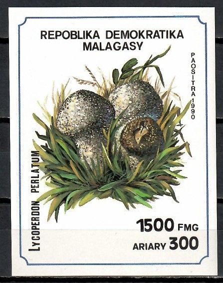 Znaczek Madagaskar 1990 Mi bl 154 Czyste **