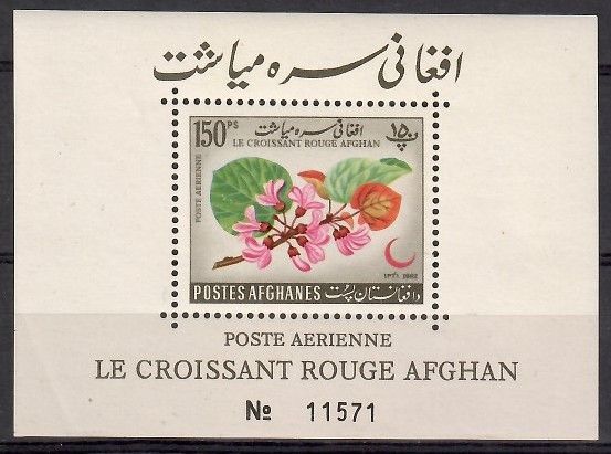 Znaczek Afganistan 1962 Mi bl 30 Czyste **