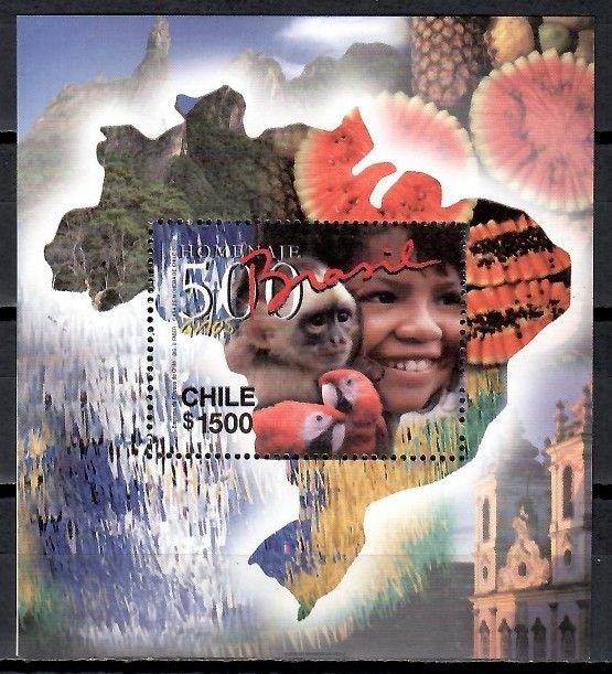 Znaczek Chile 2000 Mi bl 46 Czyste **
