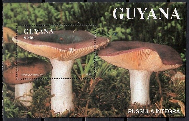 Znaczek Gujana 1991 Mi bl 142 Czyste **