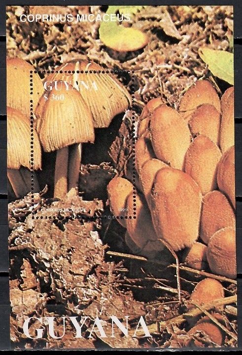 Znaczek Gujana 1991 Mi bl 143 Czyste **