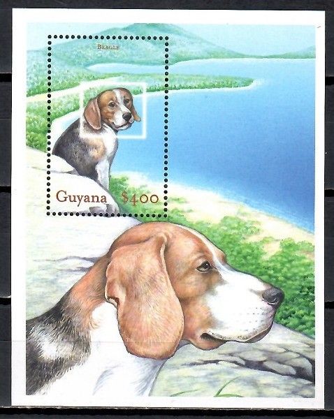 Znaczek Gujana 2001 Mi bl 691 Czyste **