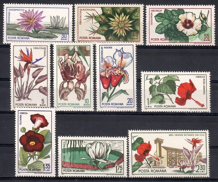 Znaczek Rumunia 1955 Mi 2442-2451 Czyste **