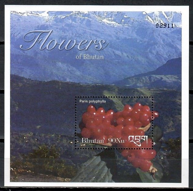 Znaczek Bhutan 2002 Mi bl 456 Czyste **
