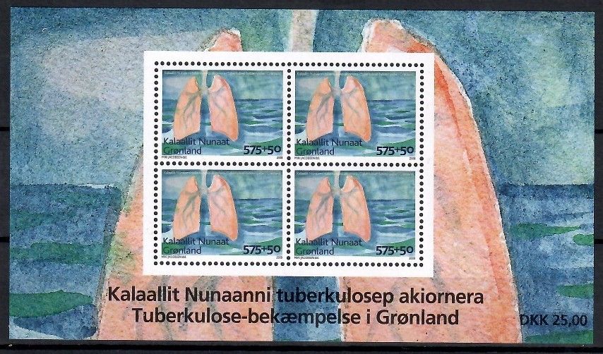 Znaczek Grenlandia 2008 Mi bl 41 Czyste **