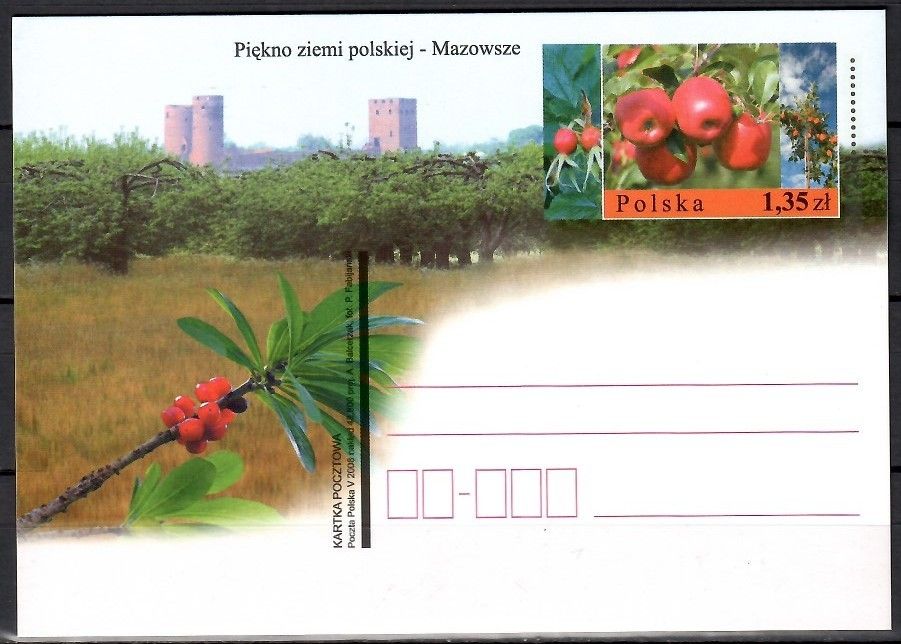 Znaczek Polska 2008 Fi Cp 1467 Całostka pocztowa
