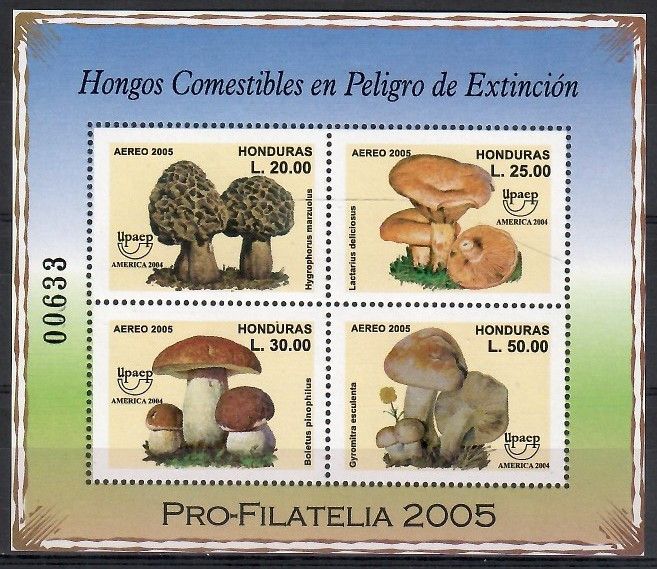 Znaczek Honduras 2005 Mi bl 86 Czyste **