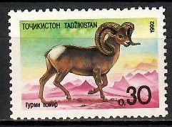 Znaczek Tadżykistan 1992 Mi 4 Czyste **