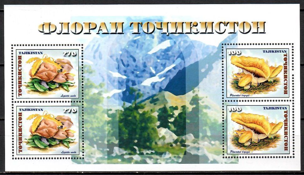 Znaczek Tadżykistan 1999 Mi bl 17 Czyste **