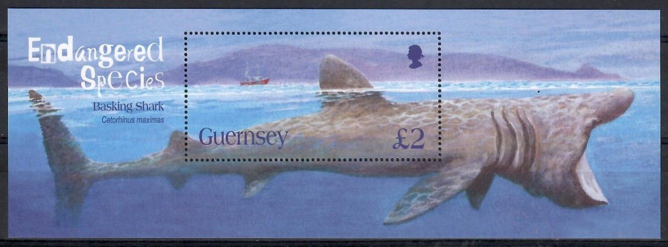 Znaczek Guernsey 2005 Mi bl 40 Czyste **
