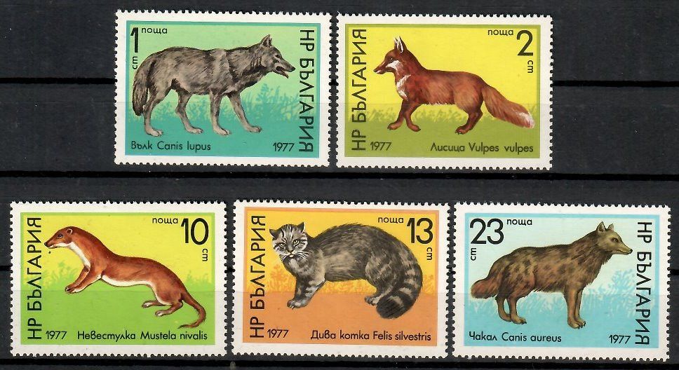 Znaczek Bułgaria 1977 Mi 2597-2601 Czyste **