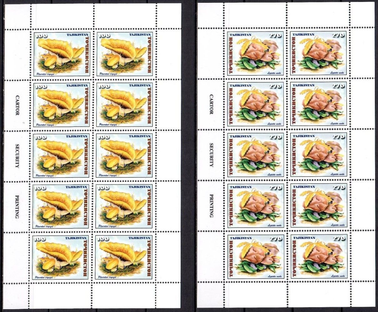 Znaczek Tadżykistan 1999 Mi ark 163-164I Czyste **