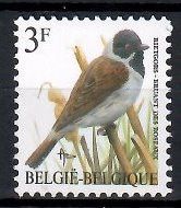 Znaczek Belgia 1991 Mi 2477w Czyste **