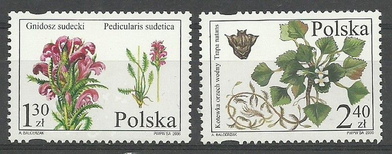 Znaczek Polska 2006 Mi 4232-4233 Fi 4082-4083 Czyste **