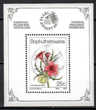 Znaczek Bophuthatswana 1987 Mi bl 2 Czyste **