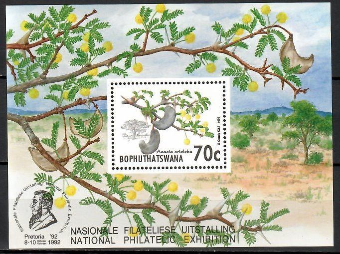 Znaczek Bophuthatswana 1992 Mi bl 7 Czyste **