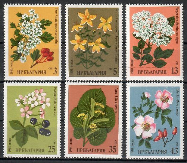 Znaczek Bułgaria 1981 Mi 2963-2968 Czyste **