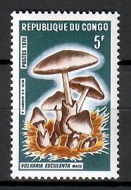 Znaczek Kongo 1970 Mi 232 Czyste **