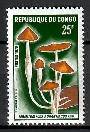Znaczek Kongo 1970 Mi 235 Czyste **