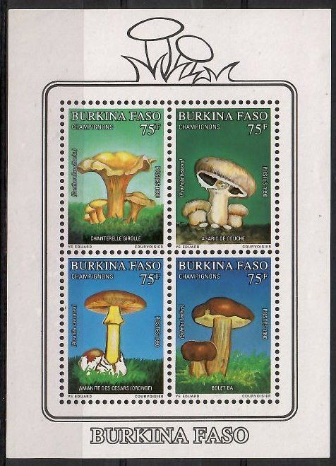 Znaczek Burkina Faso 1990 Mi bl 134 Czyste **