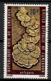 Znaczek Kamerun 1975 Mi 802 Stemplowane