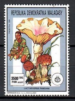 Znaczek Madagaskar 1991 Mi 1314 Czyste **