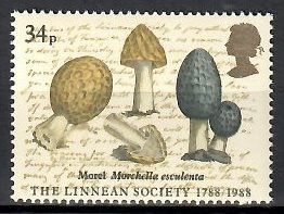 Znaczek Wielka Brytania 1988 Mi 1134 Czyste **