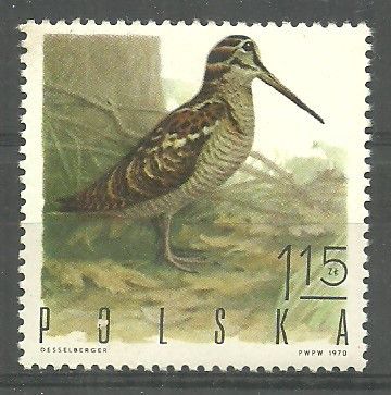 Znaczek Polska 1970 Mi 1990 Fi 1843 Czyste **