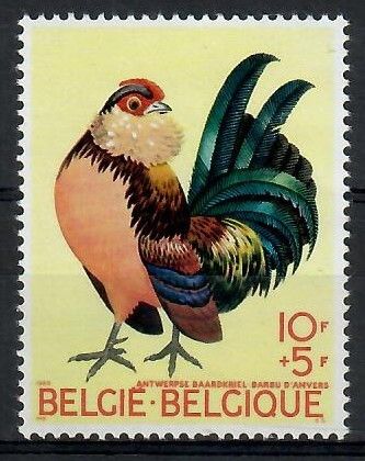 Znaczek Belgia 1969 Mi 1572 Czyste **