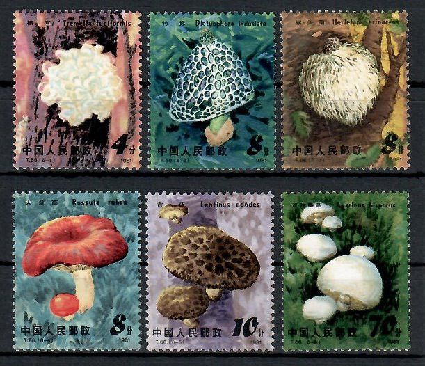Znaczek Chiny 1981 Mi 1718-1723 Czyste **