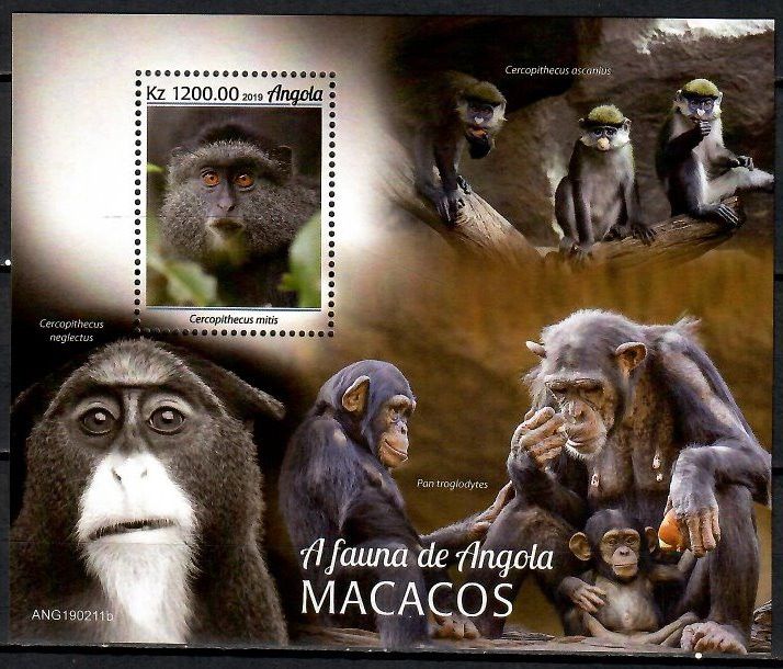 Znaczek Angola 2019 Mi bl 229 Czyste **