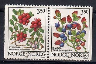Znaczek Norwegia 1995 Mi 1175-1176y Czyste **