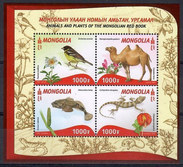 Znaczek Mongolia 2022 Mi bl 481 Czyste **
