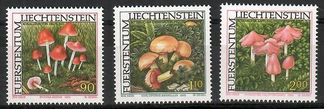 Znaczek Liechtenstein 2000