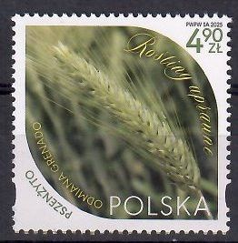 Znaczek Polska 2025 Mi 5608 Fi 5458 Czyste **