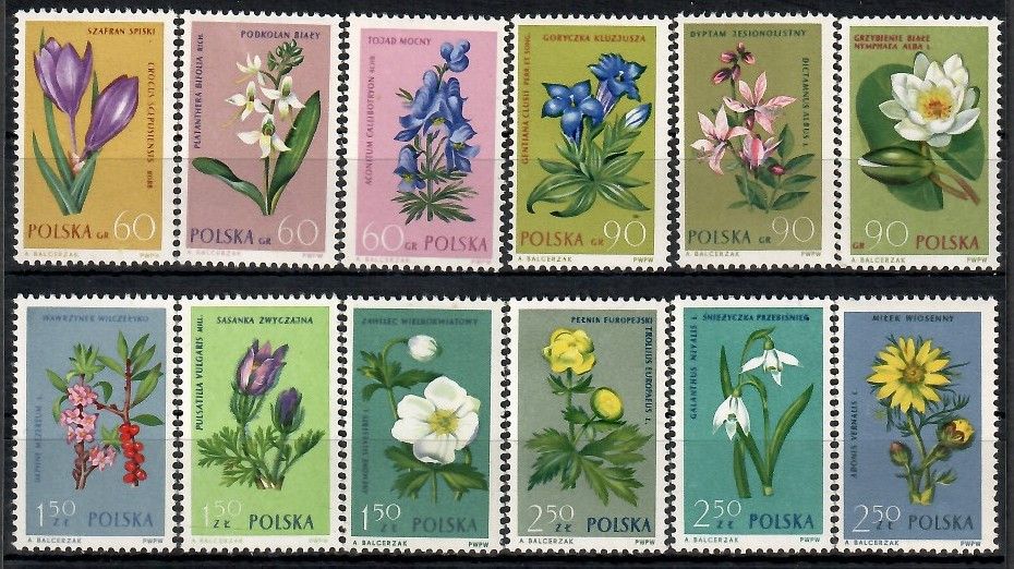 Znaczek Polska 1962 Mi 1325-1336 Fi 1177-1188 Czyste **