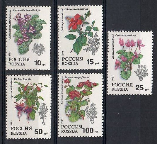 Znaczek Rosja 1993 Mi 296-300 Czyste **
